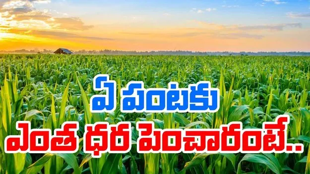 14 పంటలకు మద్దతు ధర పెంపు